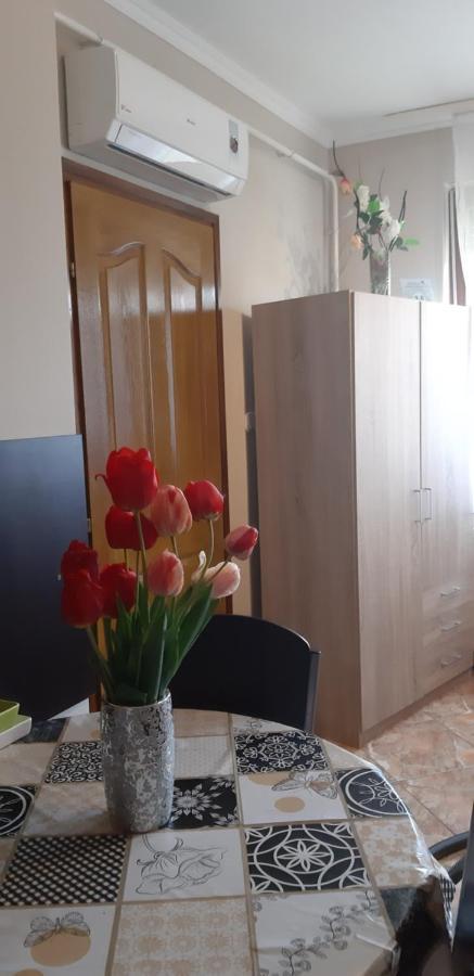 Flora Apartman Gyula Luaran gambar