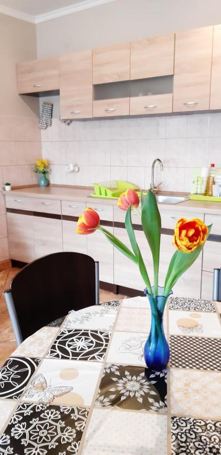 Flora Apartman Gyula Luaran gambar